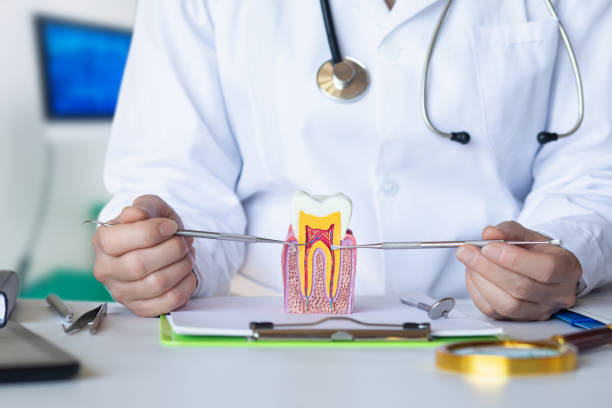 Best Emergency Dentist for Knocked-Out Tooth in Dover, NJ